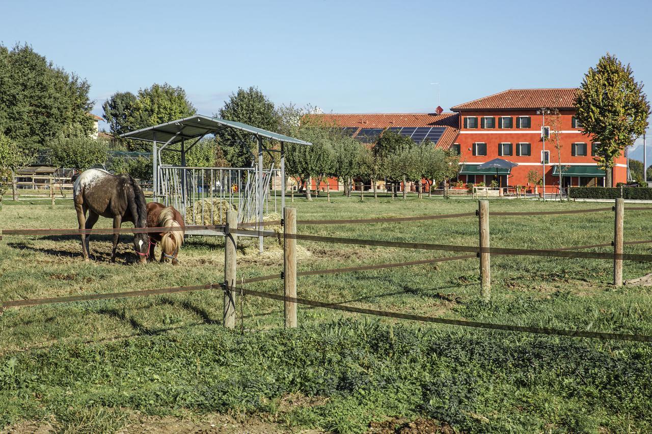 Ca' Ciaran Bed and Breakfast Chiarano Εξωτερικό φωτογραφία