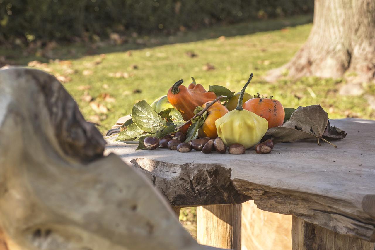 Ca' Ciaran Bed and Breakfast Chiarano Εξωτερικό φωτογραφία