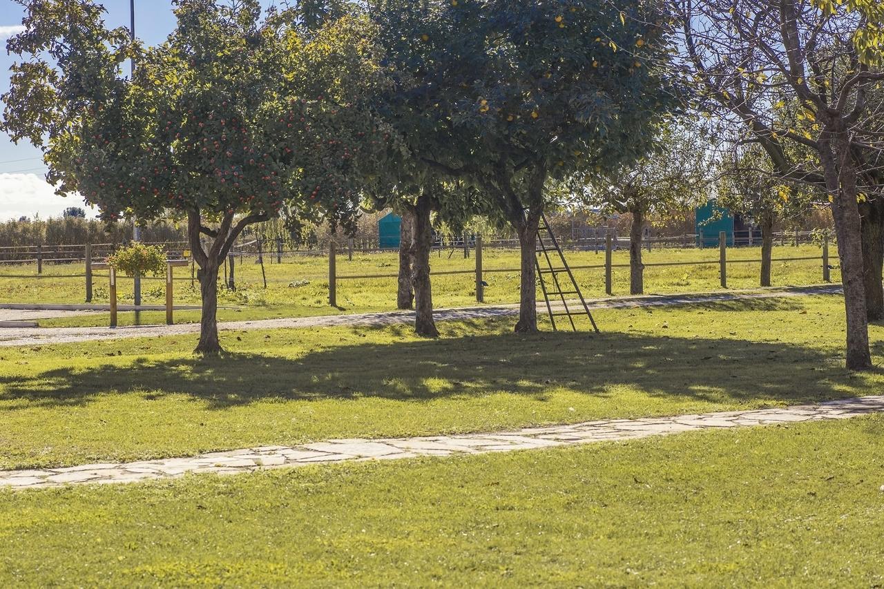 Ca' Ciaran Bed and Breakfast Chiarano Εξωτερικό φωτογραφία